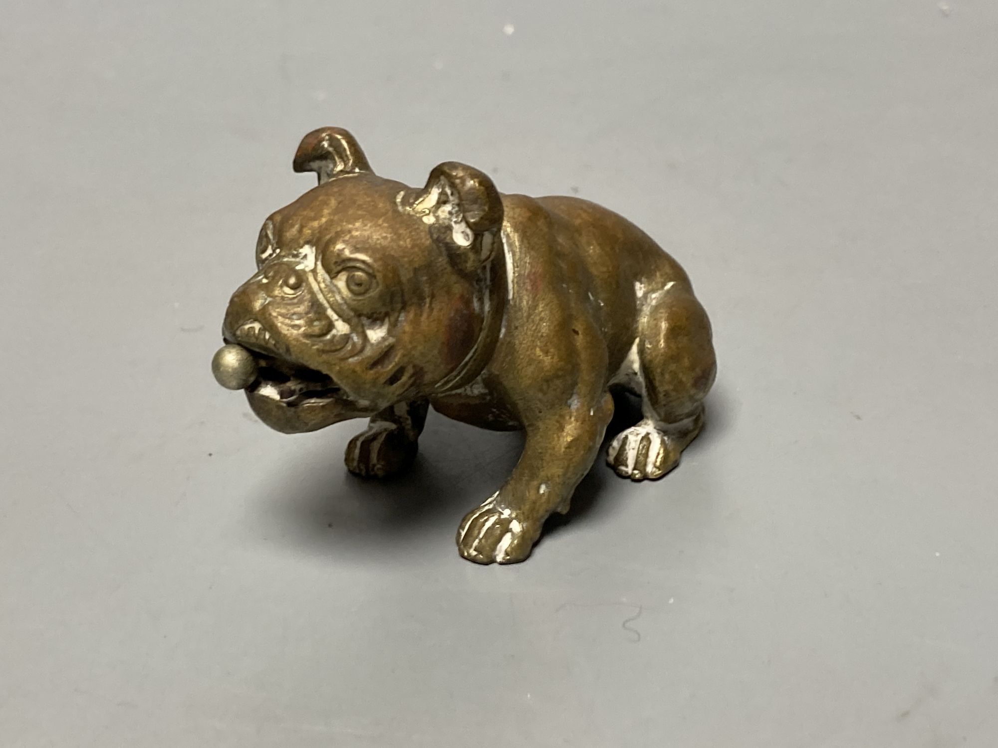 An Austrian bronze bulldog cigar cutter, width 7cm, its mouth concealing the cutter
